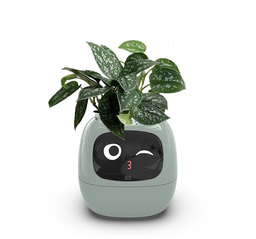 Smart Planter with AI Sensors | 49 Expressions | Intelligent Plant Care